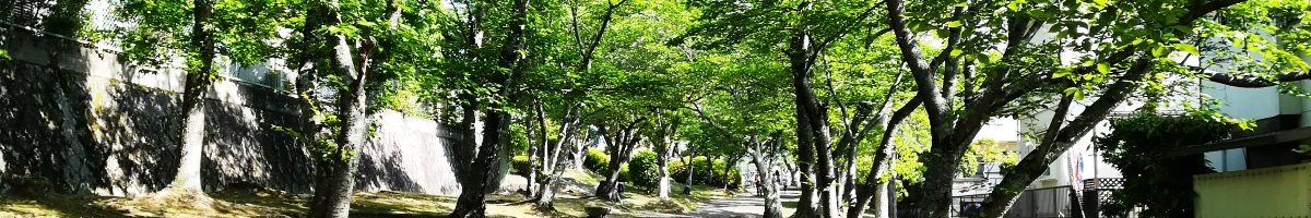 初夏のあすか野南の緑道