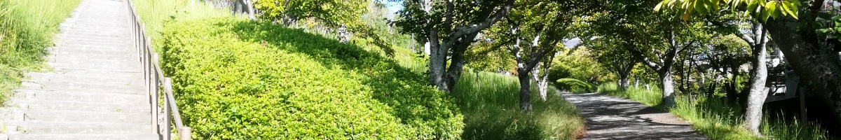 夏のあすか野北の緑道からグランドへの階段