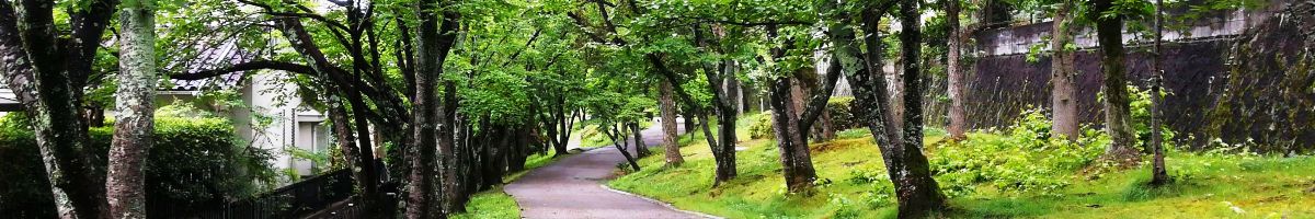 初夏のあすか野南の緑道