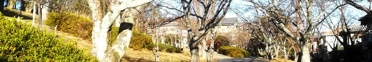 冬のあすか野北の緑道