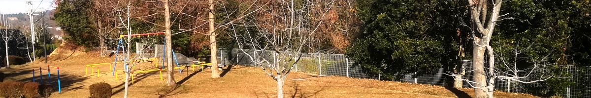 冬のあすか野山側西公園